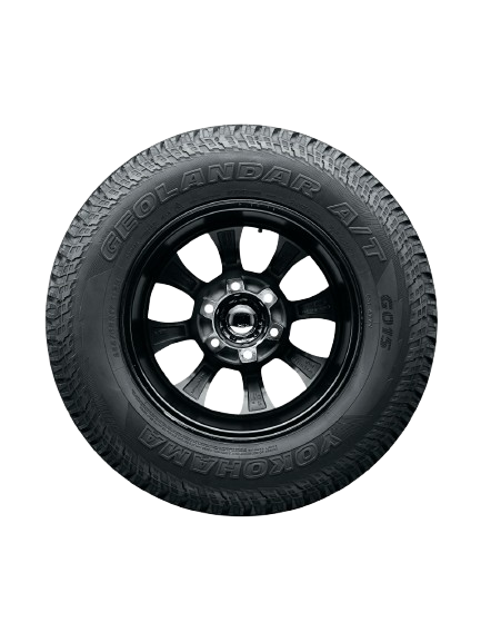 WhatsApp_Image_2026-01-22_at_5.44.47_PM__1_-removebg-preview